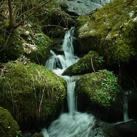 Talblick Saschwalle